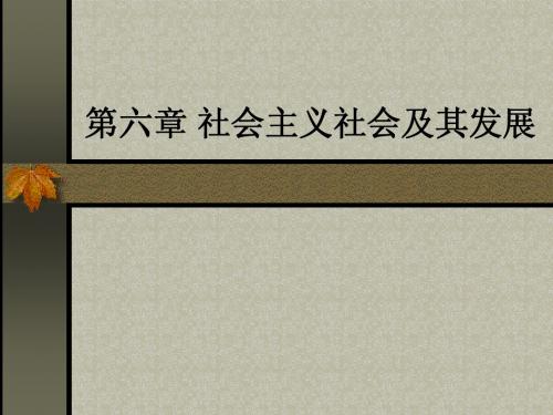 第六章 社会主义社会及其发展