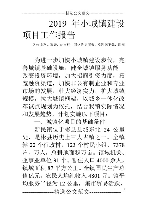2019年小城镇建设项目工作报告