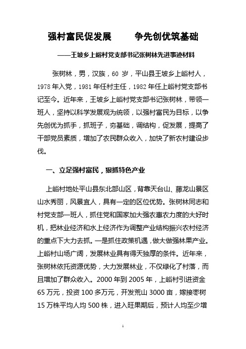 张树林先进事迹材料