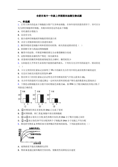 合肥市高中一年级上学期期末抽测生物试题