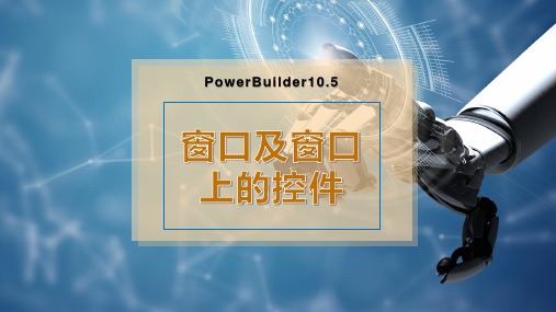 PowerBuilder窗口及窗口上的控件