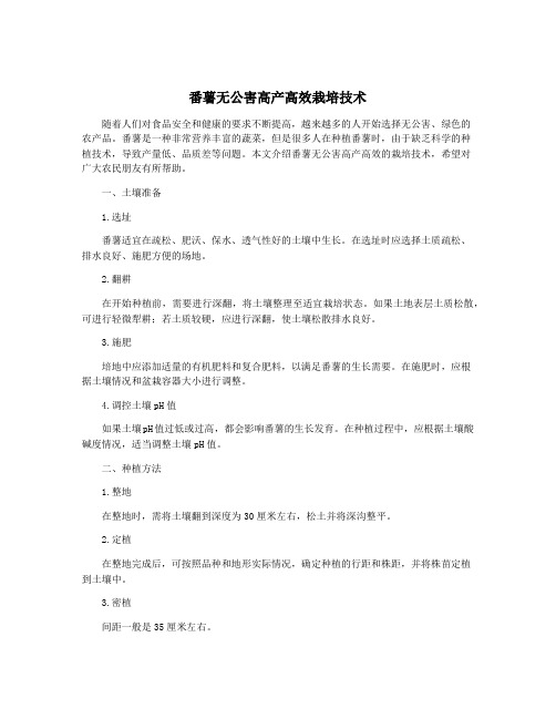 番薯无公害高产高效栽培技术