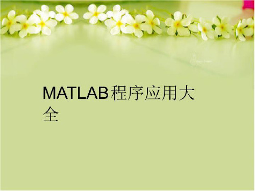 【精品】MATLAB程序应用大全精编版