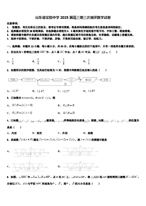 山东省实验中学2025届高三第三次测评数学试卷含解析