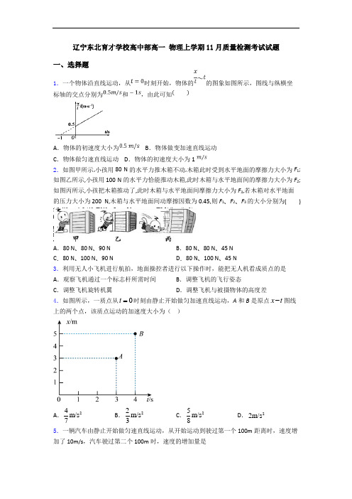 辽宁东北育才学校高中部高一 物理上学期11月质量检测考试试题