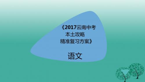 云南省2017届中考语文总复习:作文精准复习ppt课件