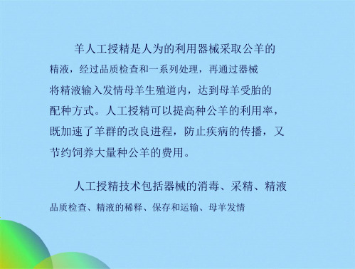 羊的人工授精技术及操作要点ppt(共31张PPT)