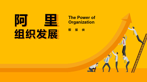 阿里巴巴组织发展体系之组织设计