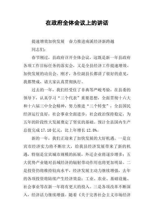 在政府全体会议上的讲话