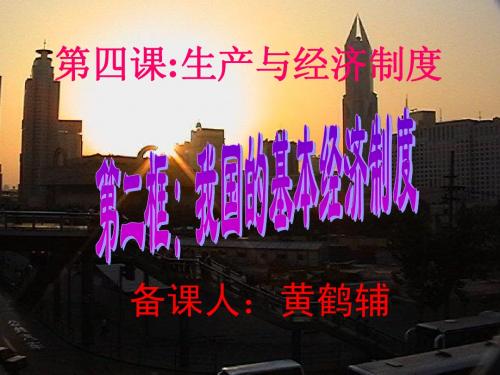 我国的基本经济制度(人教版必修1)