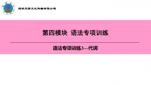 中考英语复习第四模板  语法专项训练3—代词