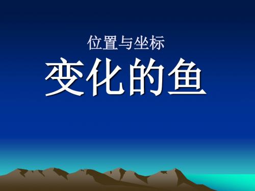 《变化的鱼》位置与坐标PPT课件2 (共23张PPT)