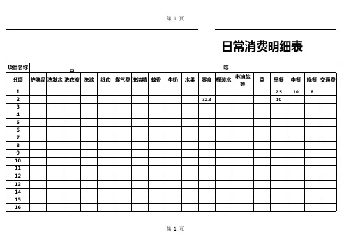 日常开销消费明细表