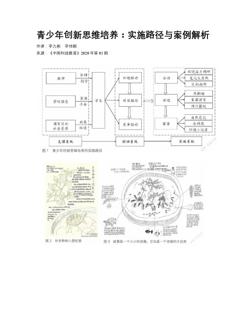 青少年创新思维培养：实施路径与案例解析