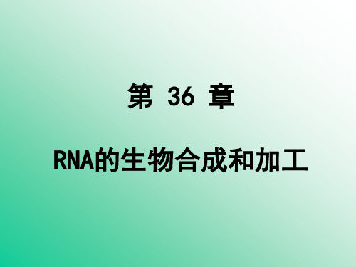 RNA