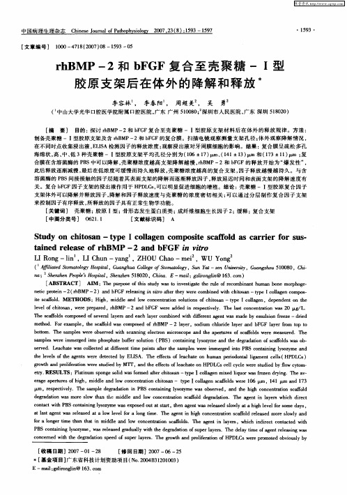 rhBMP-2和bFGF复合至壳聚糖-Ⅰ型胶原支架后在体外的降解和释放