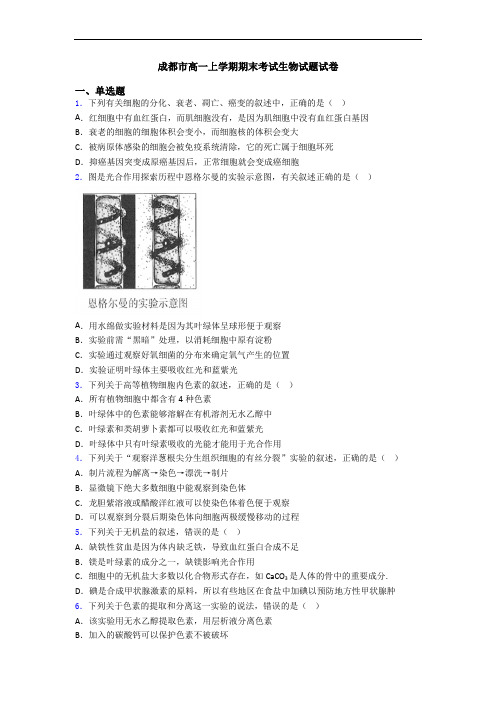 成都市高一上学期期末考试生物试题试卷