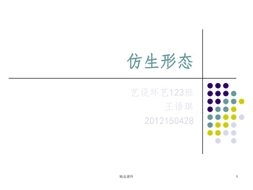 仿生设计赏析ppt课件