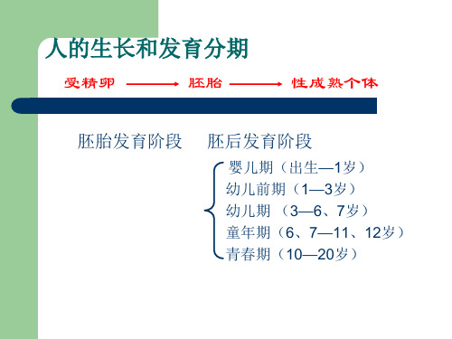 人的生殖发育PPT课件