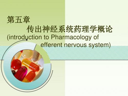 五讲传出神经系统药理学概论inroduciono概论PPT课件