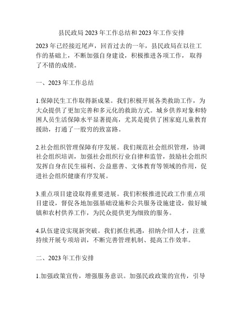 县民政局2023年工作总结和2023年工作安排