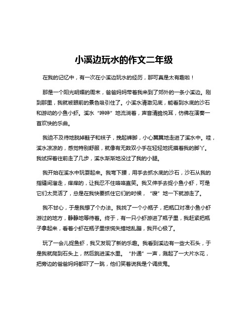 小溪边玩水的作文二年级