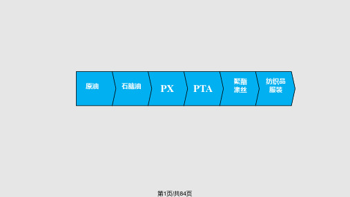 PTA生产及技术工艺PPT课件