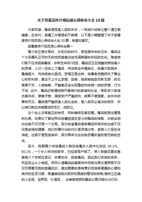 关于禁毒宣传片观后感心得体会大全10篇