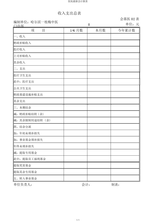 医院最新会计报表