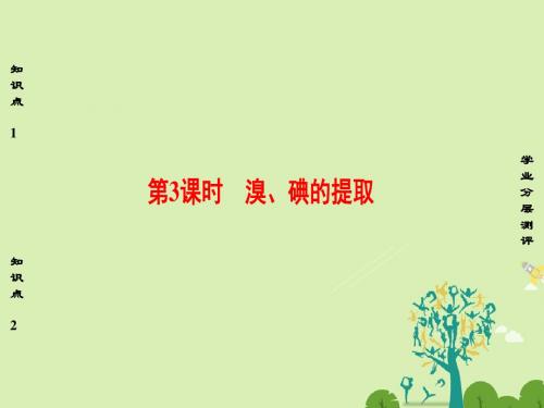 高中化学 专题2 从海水中获得的化学物质 第1单元氯、溴、碘及其化合物(第3课时)溴、碘的提取课件 苏教版