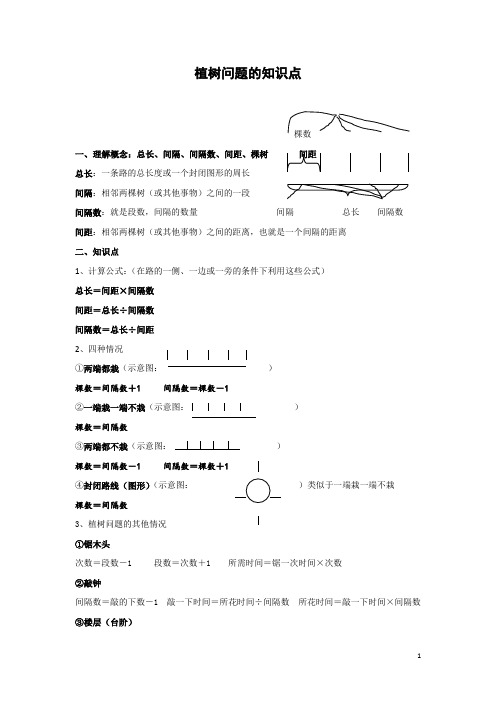 植树问题知识点