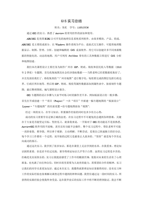 GIS实习总结