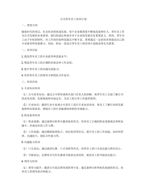 公司青年员工培训计划