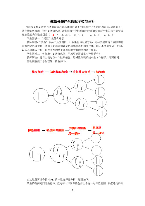 减数分裂产生的配子类型分析