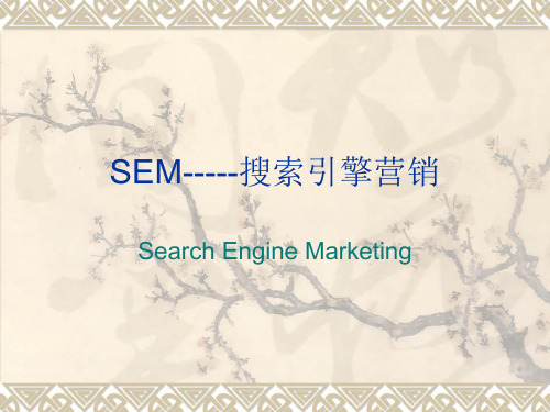 SEM-----搜索引擎营销