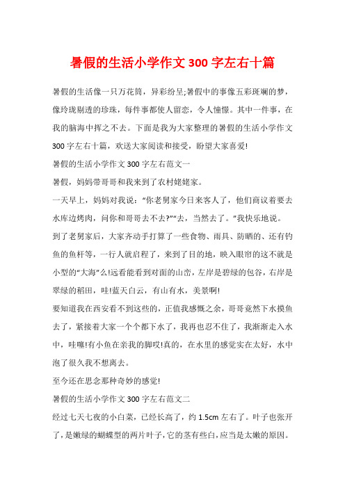 暑假的生活小学作文300字左右十篇