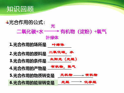 七年级上册生物第三单元第五章第二节绿色植物的呼吸作用