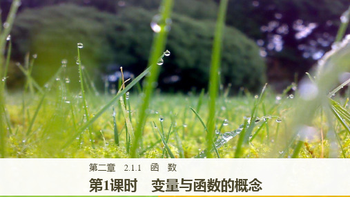 高中数学新学案同步 必修1 人教B版 全国通用版 第2章 函数 2.1.1 第1课时