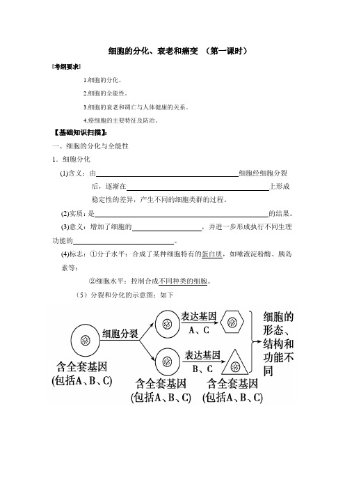 苏教版必修一 细胞的分化、衰老和癌变 学案