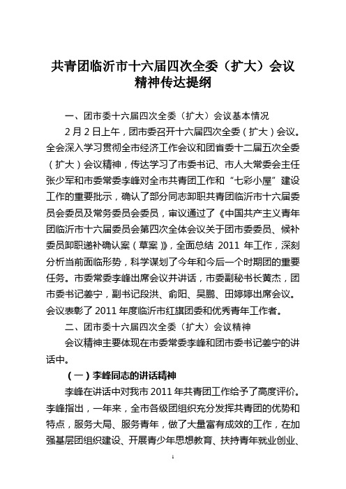 团市委十六届四次全委(扩大)会议精神传达提纲