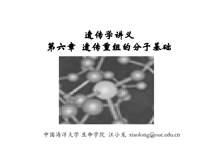 06.第六章-遗传重组的分子机理