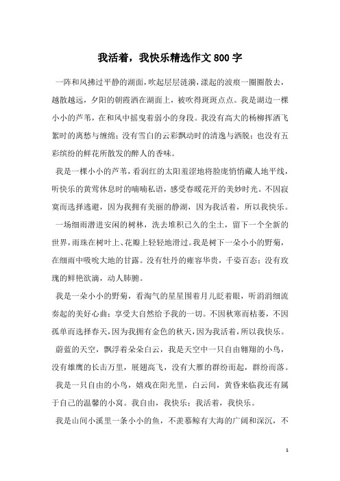 我活着,我快乐精选作文800字