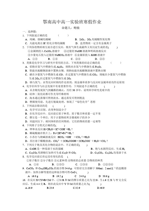 鄂南高中高一实验班寒假作业及答案