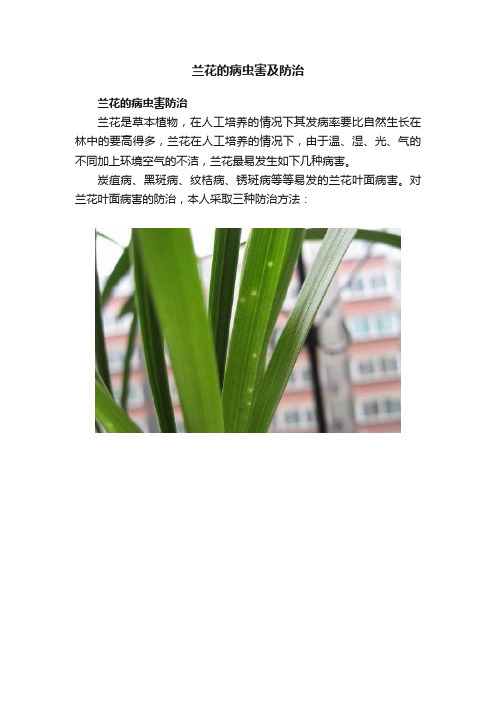 兰花的病虫害及防治