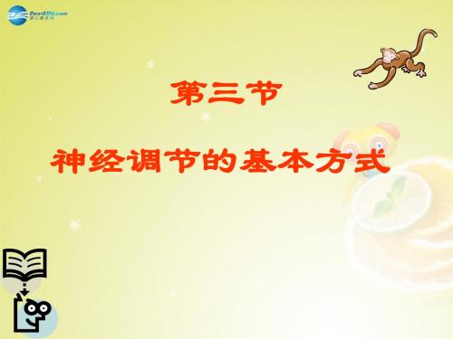 内蒙古鄂尔多斯东胜区正东中学七年级生物下册 第四单元 第六章 第三节 神经调节的基本方式课件