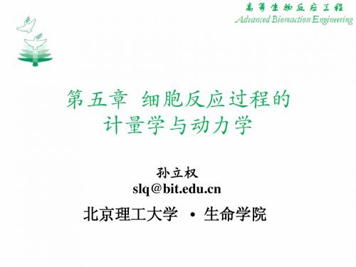 第五章 生物计量学与反应动力学