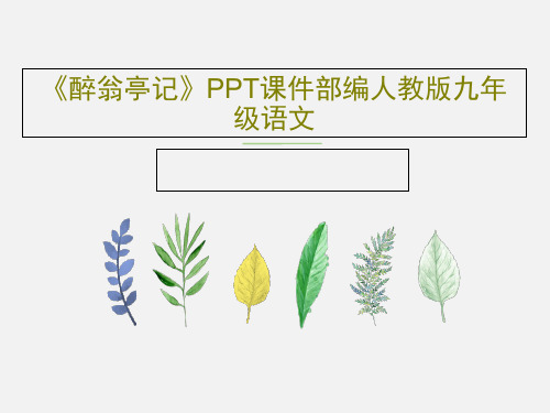 《醉翁亭记》PPT课件部编人教版九年级语文共27页