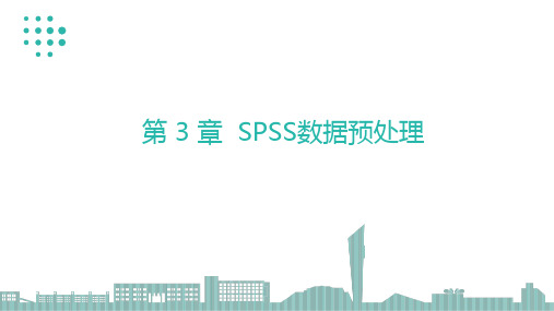 《SPSS数据分析与应用》SPSS数据预处理