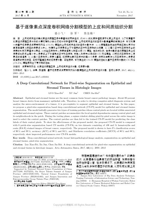 基于逐像素点深度卷积网络分割模型的上皮和间质组织分割