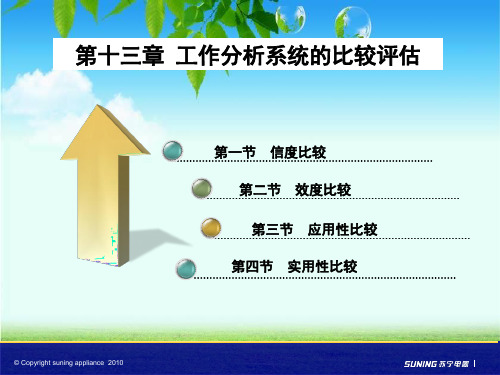 第十三章  工作分析系统的比较评估